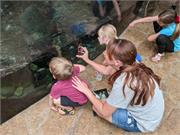 Aquarium2021-039