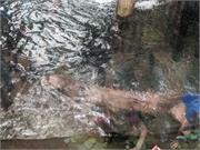 Aquarium2021-040