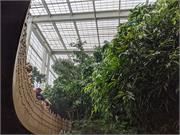 Aquarium2021-042