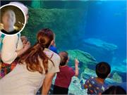 Aquarium2021-076