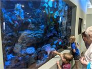 Aquarium2021-105