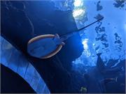 Aquarium2021-116