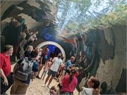 Aquarium2021-142
