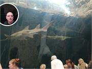 Aquarium2021-146