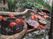 Aquarium2021-162