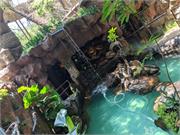 Aquarium2021-180